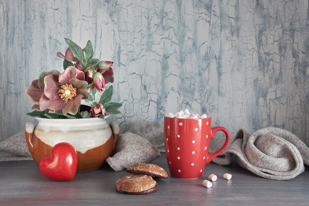 Wintertijd, warme chocolademelk met marshallows, anemoonbloemen, hart- en winterdecoraties