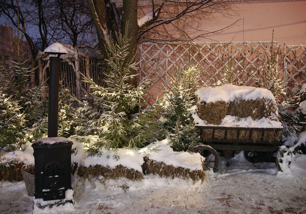 wintertuin kerstversiering 's nachts