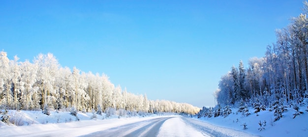 Winterweg en besneeuwd bos en bomen in rijm langs bermen blauwe lucht ijzig seizoen