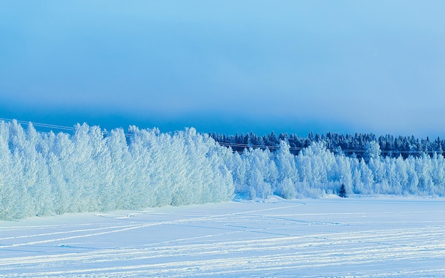 Winterweg met sneeuw in Finland. Landschap van Lapland in Europa. Bos langs snelweg tijdens rit. Sneeuw reis. Koude oprit. Rijden op de Finse snelweg in het noorden van het dorp Rovaniemi. Uitzicht met boom