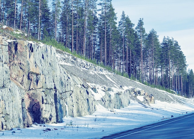 Winterweg op een sneeuwbos in koud Finland van Lapland.