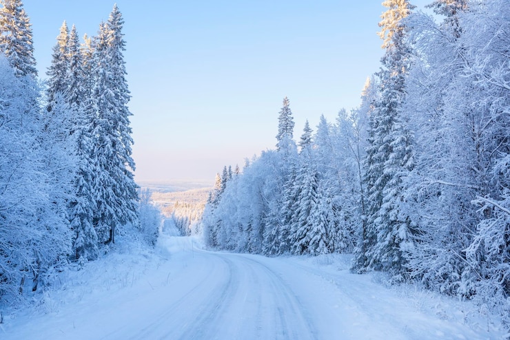 Foto winterweg