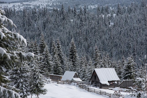 Winterwoderland met chalet