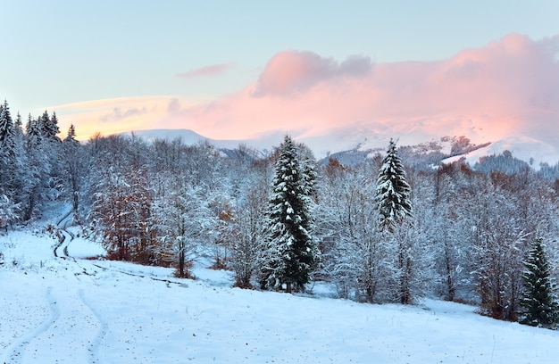 Winterzonsondergang berglandschap met vuile weg door bos met afgelopen herfstgebladerte (Karpaten, Oekraïne)