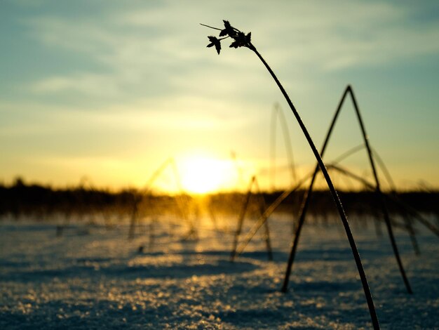 Winterzonsondergang op het meer