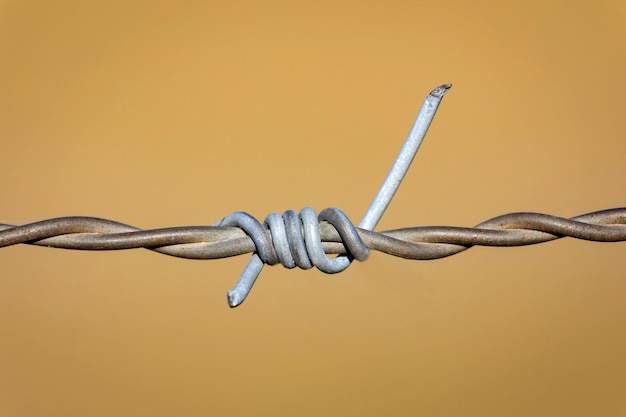 Photo wire fence close up