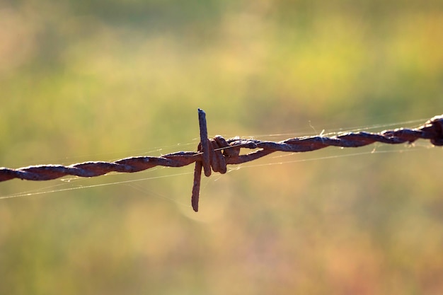 Wire fence close up  