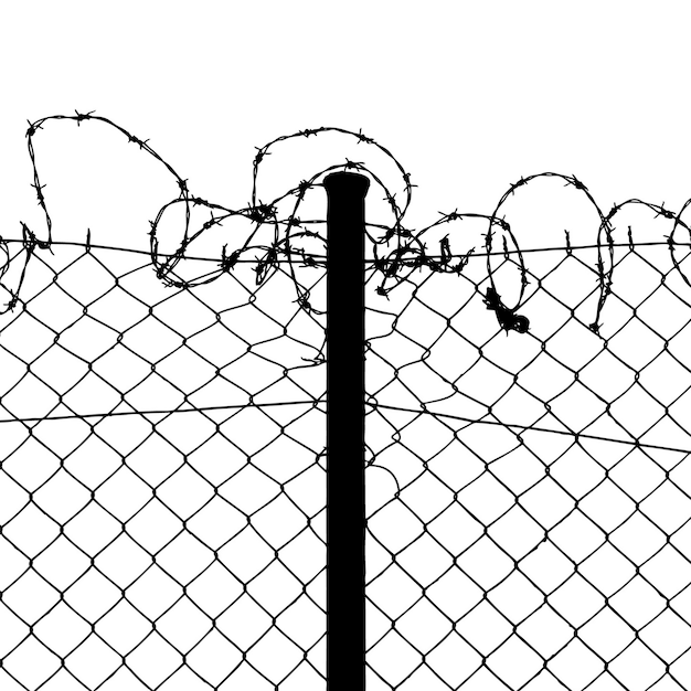 Wired fence with barbed wires