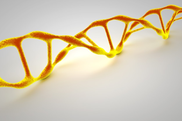 写真 ワイヤーフレームdna分子構造。医学と遺伝子バイオテクノロジーの概念。 3dイラスト。