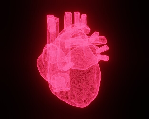 Wireframe mesh cuore su sfondo nero. illustrazione 3d