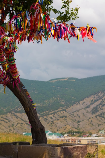 Wish tree