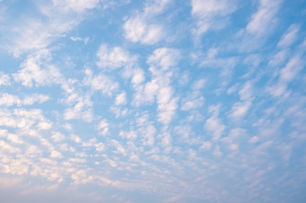 Wit bewolkt met een blauwe lucht. Golfwolken aan de hemel. Pluizige wolk.