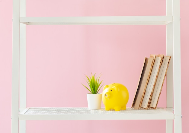 Wit boekenrek met boeken en plant tegen roze muur