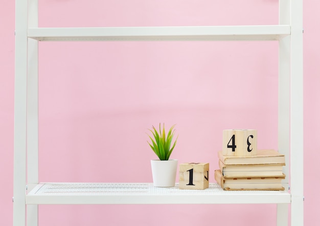 Wit boekenrek met boeken en plant tegen roze muur