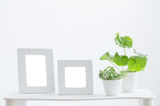 Wit frame en groene planten op plank op wit oppervlak