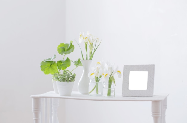 Wit frame, groene planten en Lentebloemen op plank op witte achtergrond