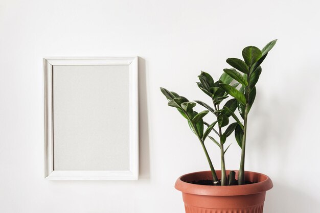 Wit frame Mockup en potplant Zamioculcas tegen witte muur.