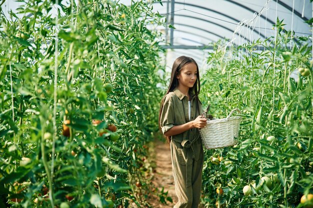 Foto wit gekleurde mand in handen klein meisje is in de tuin met tomaten