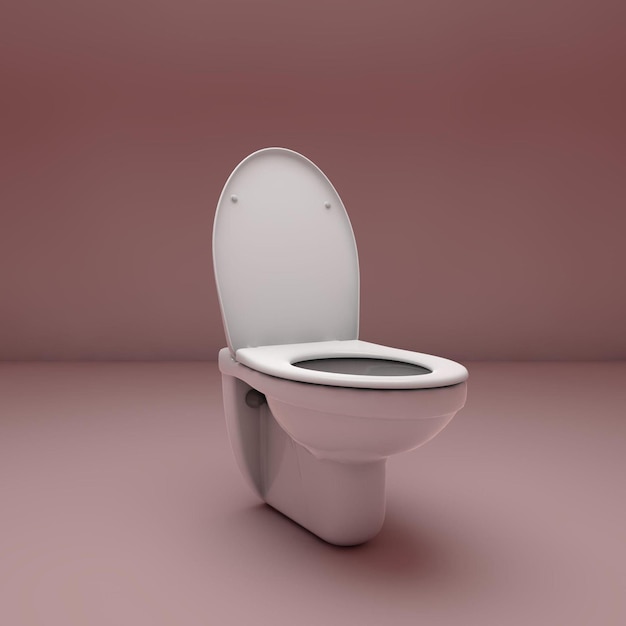 Wit keramisch toilet