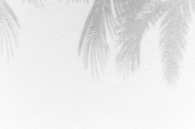 Wit oppervlak met reflecties Gladde minimale lichtgolven achtergrond Wazige zijden golven Minimale zachte grijswaarden rimpelingen stromen