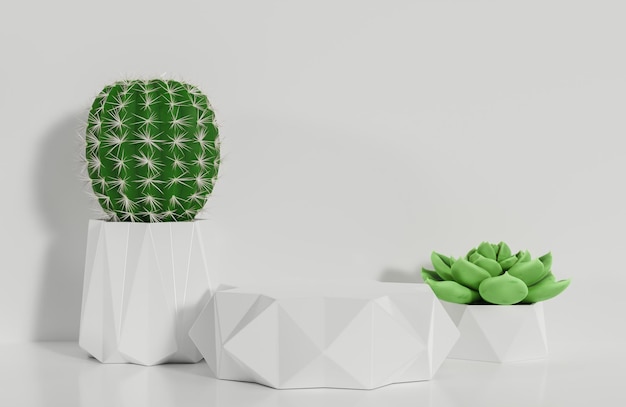 Foto wit prisma podium voor productpresentatie en cactus op witte muur achtergrond minimaal style3d model en illustratie