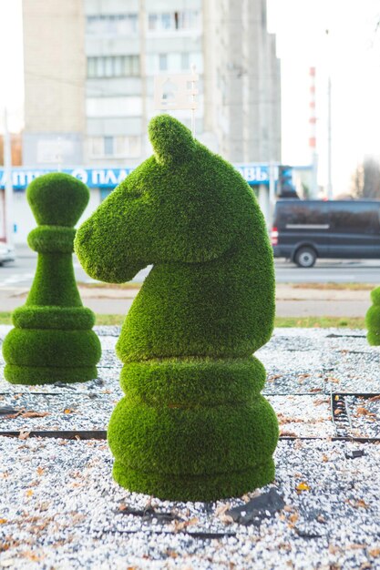 Foto wit-rusland minsk 17 september 2019 schaakfiguren bedekt met gras