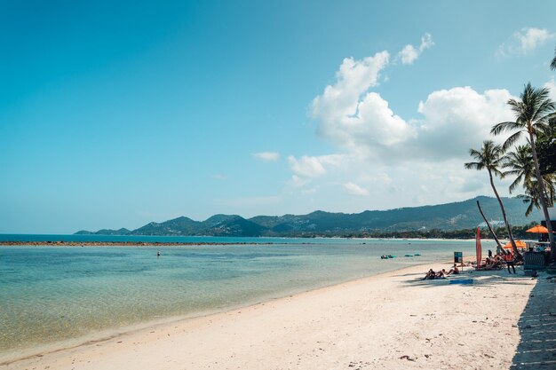 Wit strand op tropisch eiland