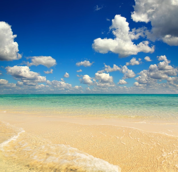 Wit zandstrand aan zeespit