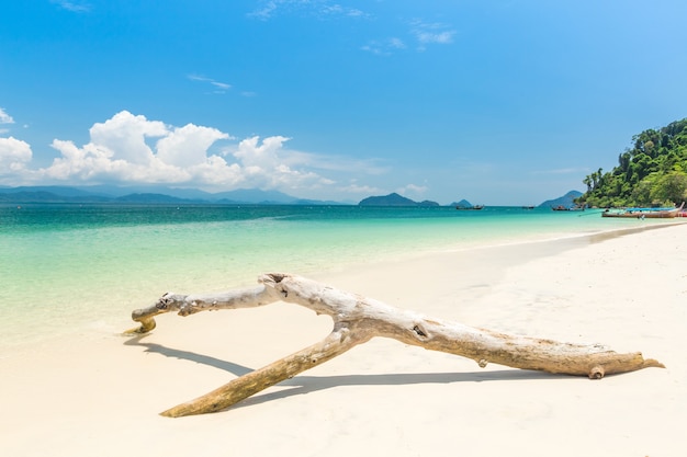 Wit zandstrand en langstaartboot op Khang Khao Island (Bat eiland), De prachtige zee Ranong Prov