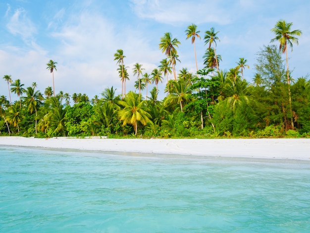 Wit zandstrand met kokospalmen turkoois transparant water, tropische reisbestemming, woestijnstrand geen mensen - Kei-eilanden, Molukken, Indonesië