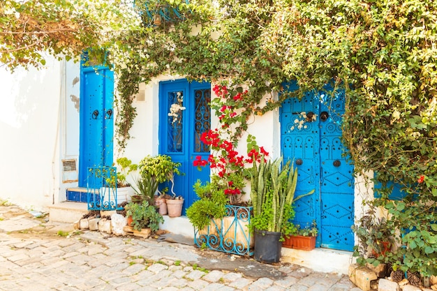 Witblauwe stad Sidi Bou Said Tunesië Oosters sprookje met Franse charme