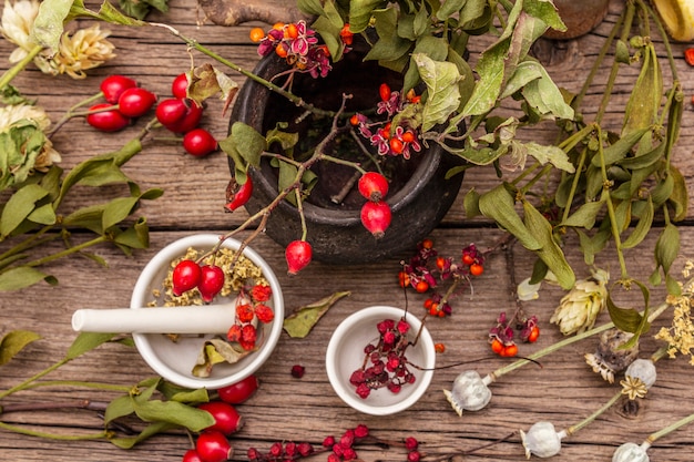 Witch bowler, mistletoe, elderberry. Dry herbs, flowers, fresh berries