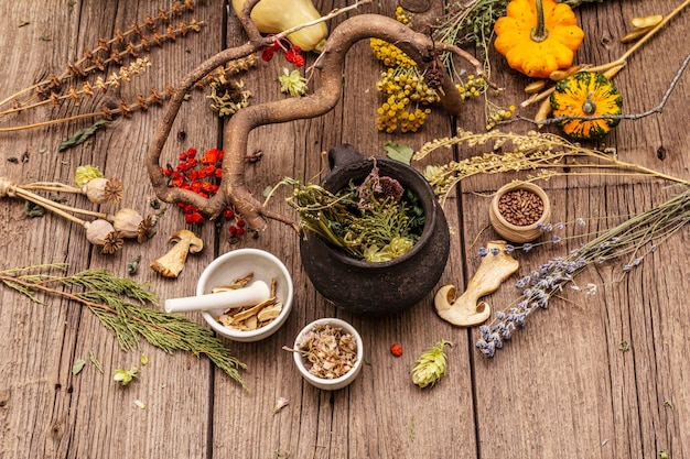 Photo witch's laboratory. alchemical equipment, halloween concept