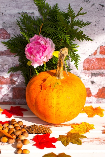 A witchs hat on an orange background