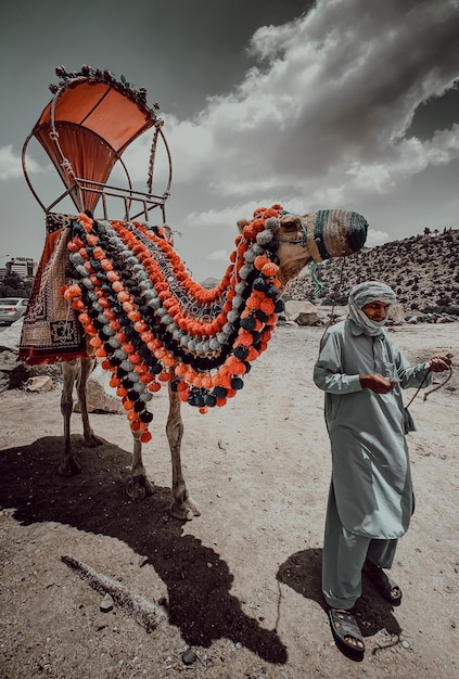 Photo with camel