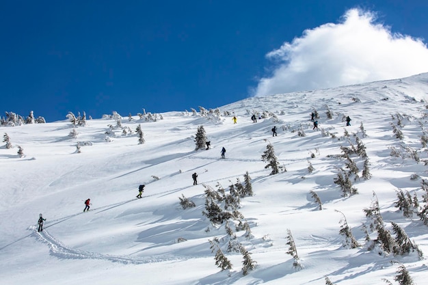 写真 装備と決意を胸に白い雪山を登る登山者たち