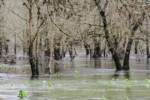 Photo with the water up