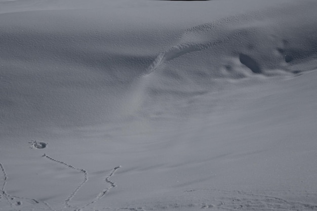 雪の質感で