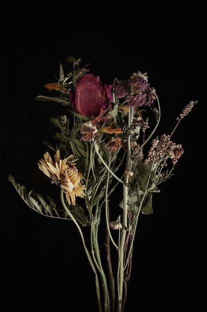 Withered flower Withered flowers on black wall Dried flowers