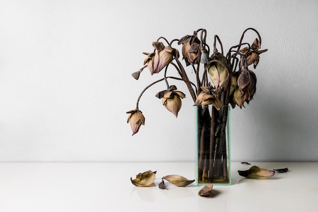 Fiori di loto appassiti in un vaso di vetro sul tavolo