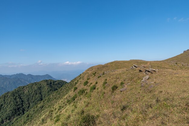 青い空の下の枯れた黄色い牧草地