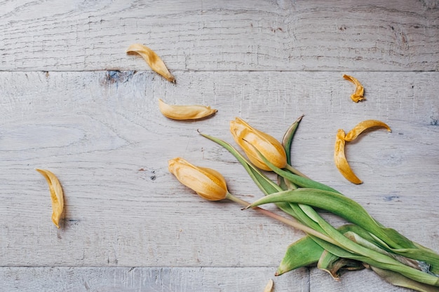 Foto tulipano giallo appassito su un tavolo di legno