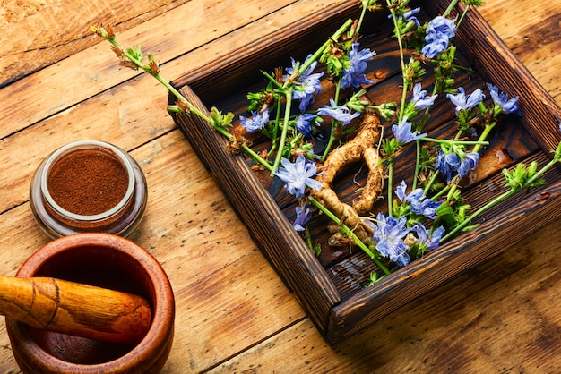 Witlof in kruidengeneeskunde, homeopathische kruiden