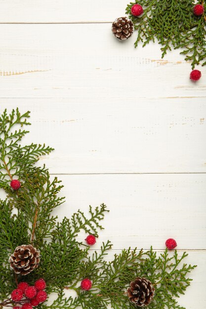 Witte achtergrond met thuja takken en viburnum. Plaats voor tekst. Plat lag, bovenaanzicht.