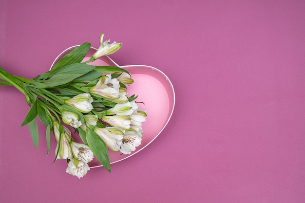 Witte Alstroemeria-bloemen op een purpere, roze achtergrond.