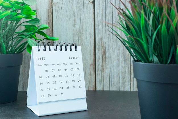 Witte augustus 2022 kalender met potplant. Nieuwjaarsconcept 2022