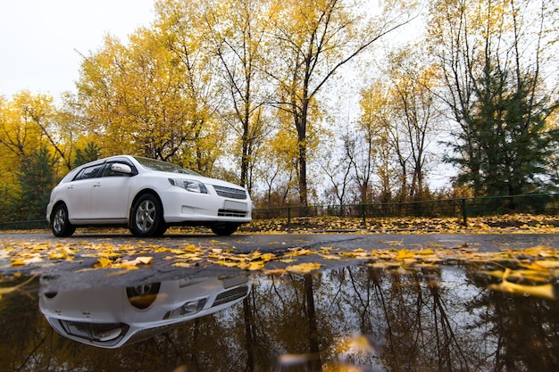 Witte auto op herfstweg met zijn weerspiegeling in een plas