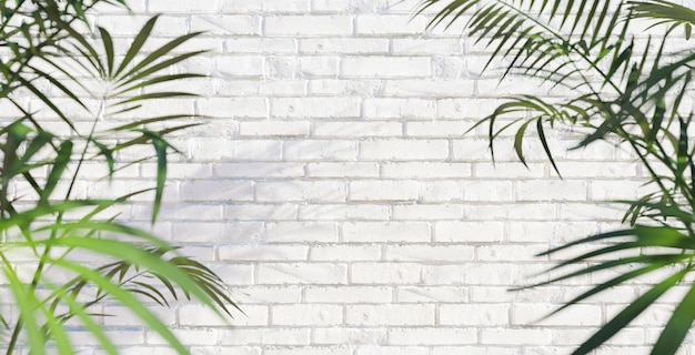 Witte bakstenen muur met palmblad zomer achtergrond