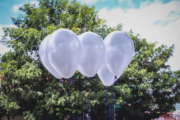 Witte ballonnen tegen bomen.