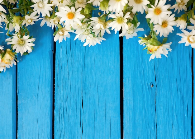 Witte bloem op blauwe houten achtergrond vanuit bovenaanzicht